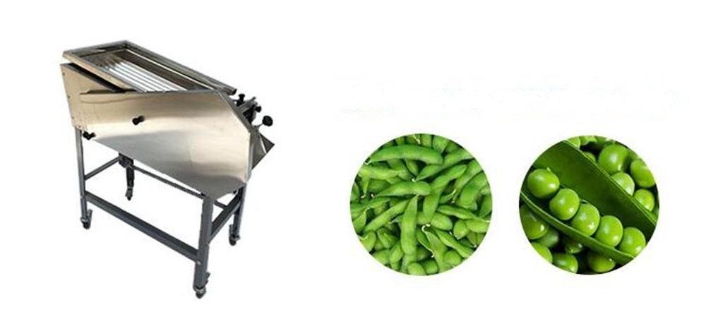 Green bean pea sheller2