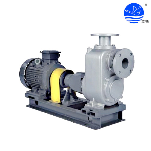 LSGLSK Self-priming Pump LSGLSK