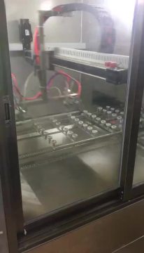 5-Achs-Maschine zum Sprühen von Lederpaneelen