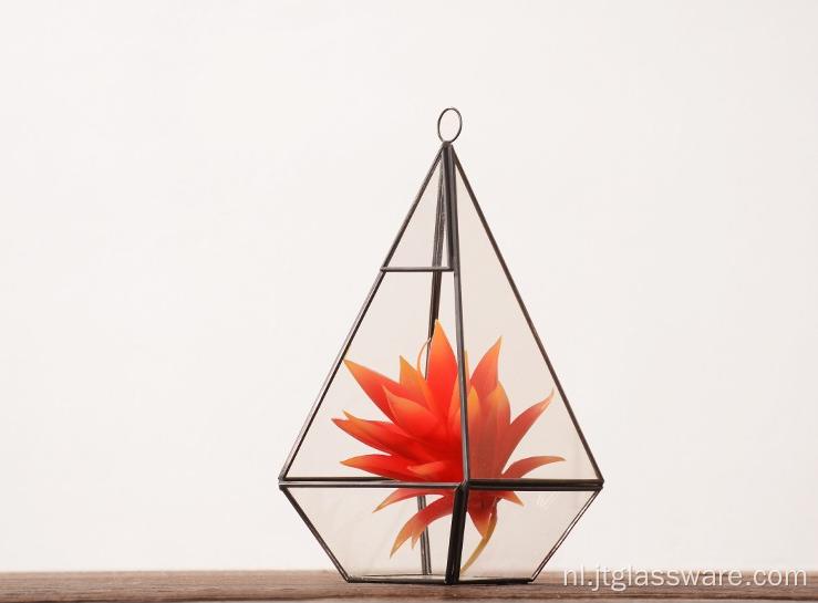 Nieuw product binnen geometrisch glazen hangend terrarium