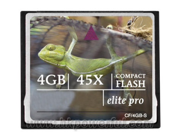 Compact Flash Card (4GB)