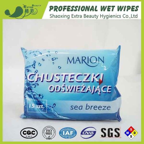 Custom Logo Small Pack Spunlace Wet Wipes