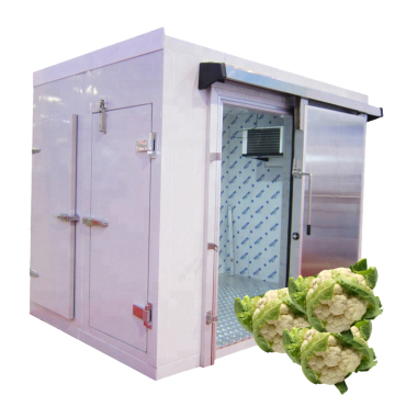 Customized Commercial Cold Rooms for Vegetable Storage - Factory Price