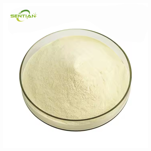 High-quality food-grade Yacon Powder Yacon extract