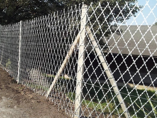 Razor mesh