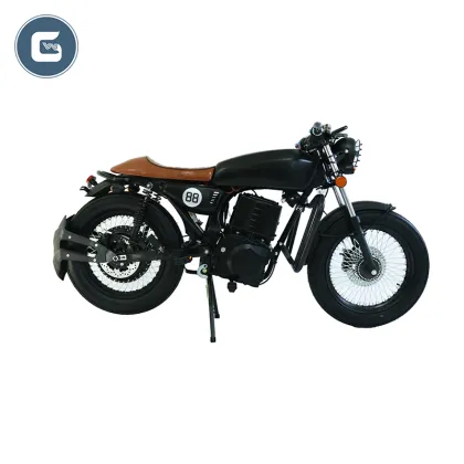 Surron Sling Shots and Panigale Electric Motorcycles: The Ultimate Electric Motorcycle Guide