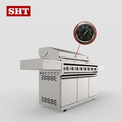 2022 Low Price Garden Gas Grill for Outdoor Kitchen