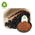 Schwarze Bohnen-Haut-Extrakt-Anthocyanin 528-58-5 Antioxidantien