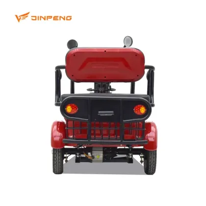 Electric Passenger Tricycle Cargo Trike with 3 Seats
