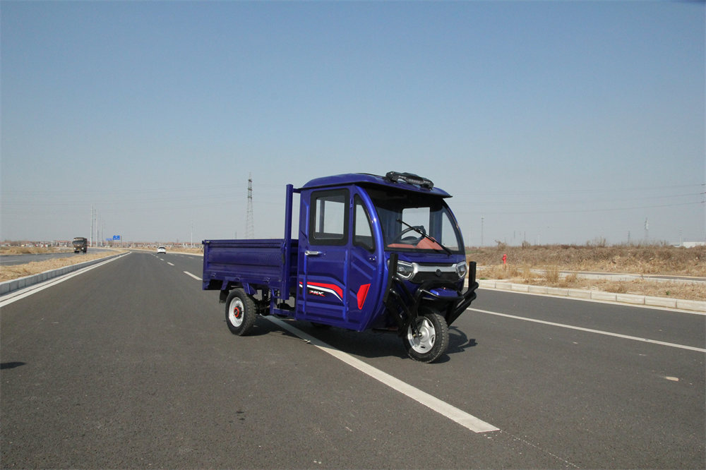 Electric Trikes with Rain Canopy