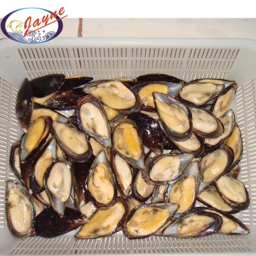 Frozen Half Mussels Blue Mussel Shells With Meat High Quality
