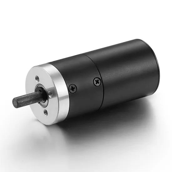 28Mm Brushless DC Motor Micro 12v 24v BLDC Gear Motor for Drone