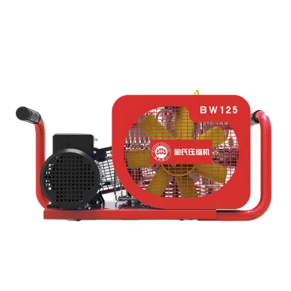 Bauer 100L/MIN Air Compressors with Activated Carbon Molecular Sieve Filter - 300Bar for Sales