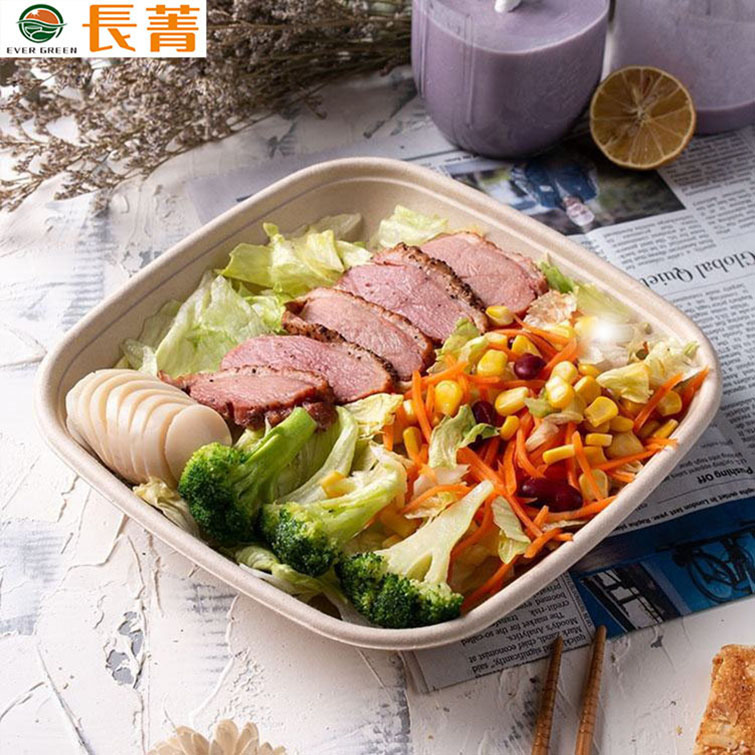 Disposable Sugarcane Bagasse Take Out Lunch Square Container