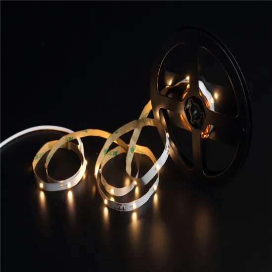 DC12V 3528 IP65 IP20 waterproof led strip