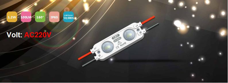 ZE02QG1 datasheet
