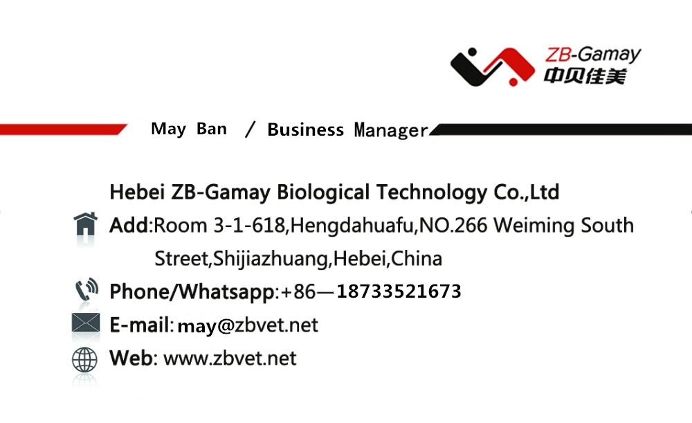 Card Card