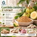 Extrato de Garcinia Cambogia com 50% –60% de ácido hidroxicítrico