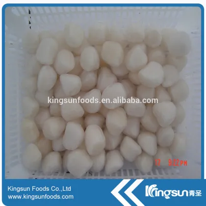 Frozen Bay Scallop meat for sale