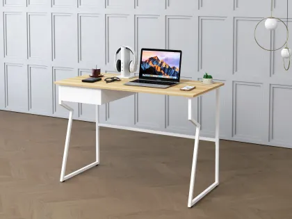 Modern Small Computer Desk for Home Office