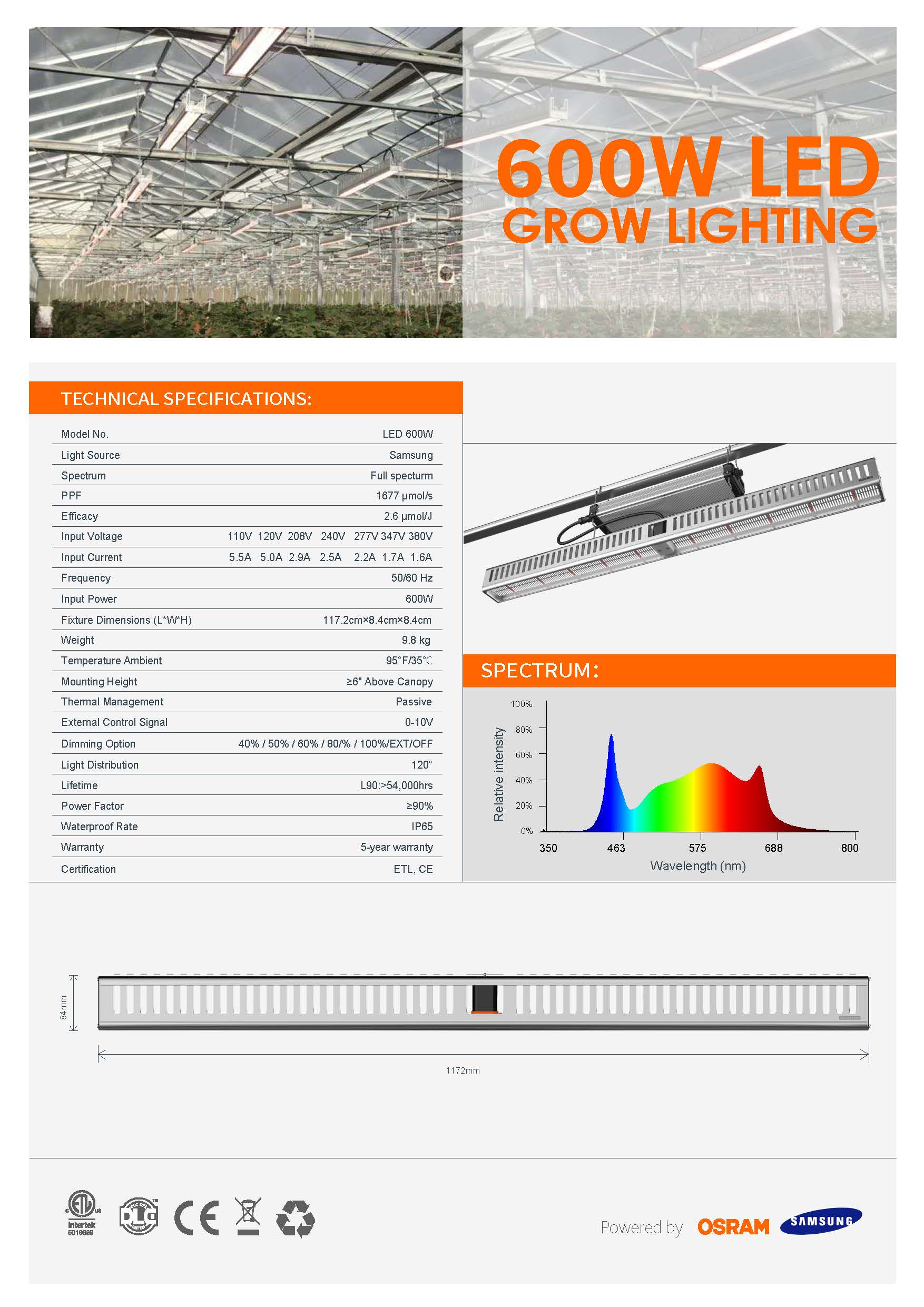 600W-top-lighting