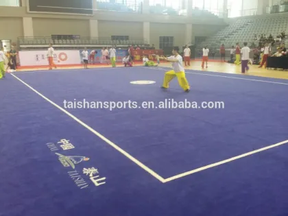 Professional Wushu taolu/kungfu field