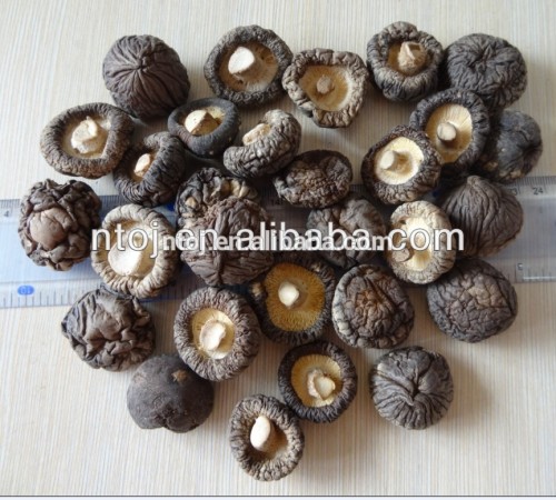 2015 NEW - GRADE B (Dried Shiitake Mushroom )