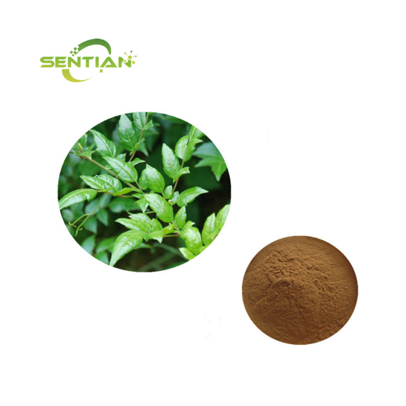 Antioxidant Vine Tea Extract Powder