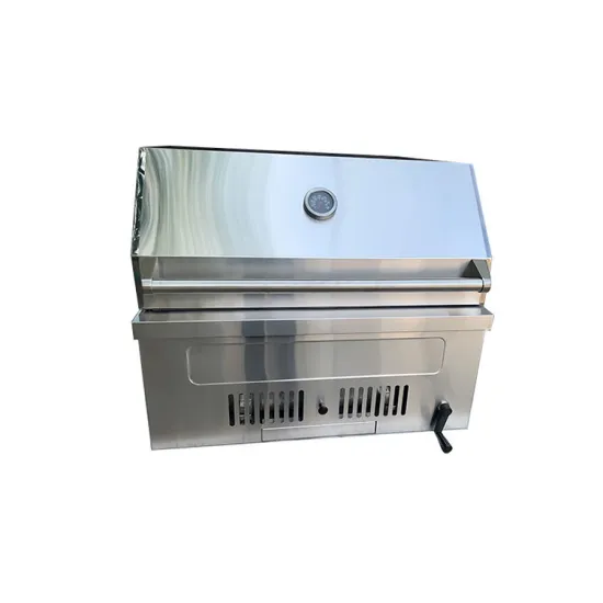 Tabletop Kitchen Gas Bbq Grill Oxygen Depletion Safety Device Stainless Steel Carbon Grill