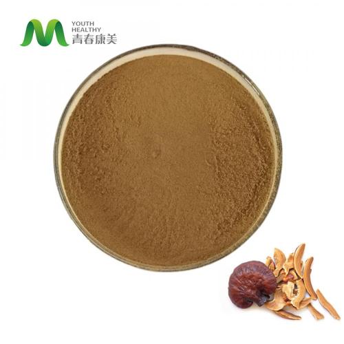  Organic Reishi Mushroom Extract Powder Factory