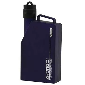 2,000mAh power battery bank with domestic first-class standard, leading design and good quality