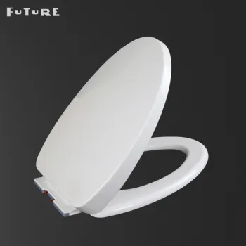 Electronic Bidets, Slow-Close Toilet Seats