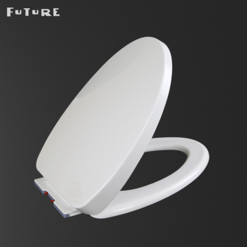 Electronic Bidets, Slow-Close Toilet Seats