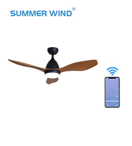 Energy Saving Motor Multi Function LED Ceiling Fan