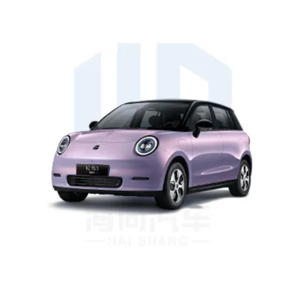 2024 Jac Yiwei 3: 330km Lite New Energy 5-Door Hatchback - Cheap Price Small Car