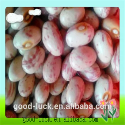 Speckled kidney beans