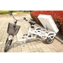 Fashion Multifunctional Electric Tricycle