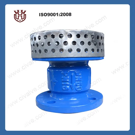 Ductile cast iron foot valve with strainer