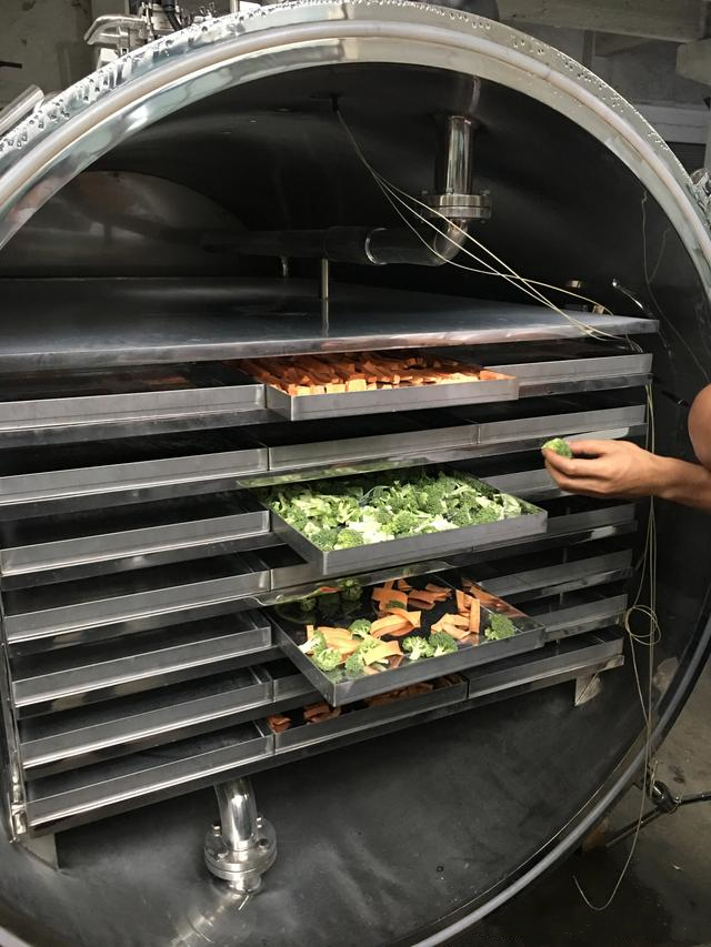 Freeze dryer for Vegetables