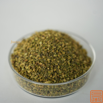 Extracto de Sophora japonica rutin nf11 95% en polvo