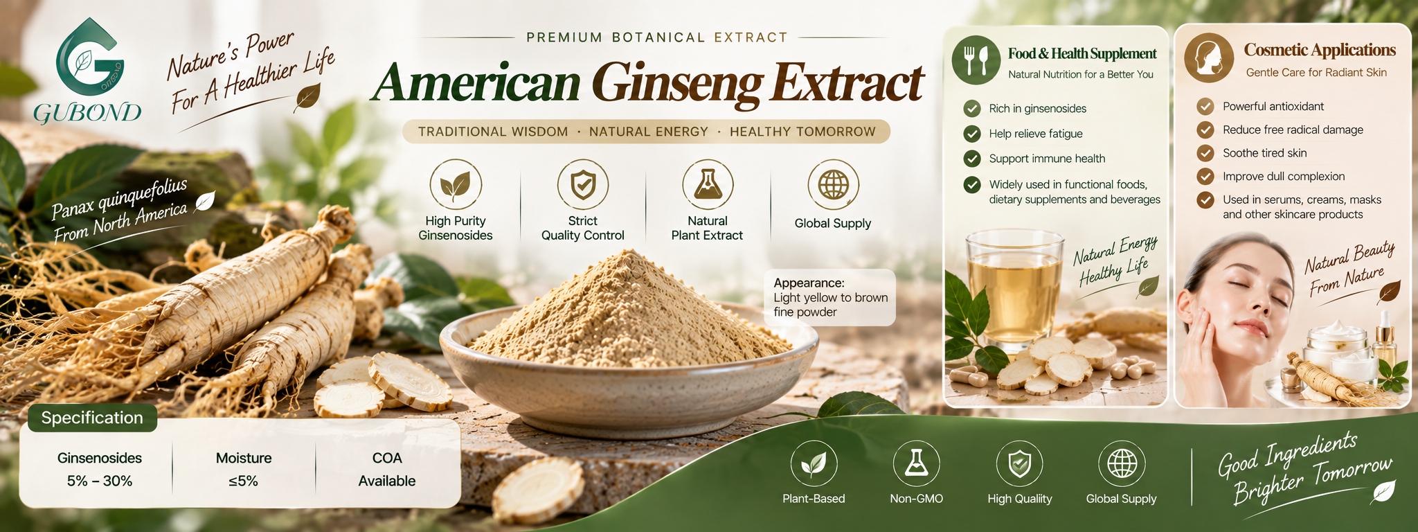 American ginseng extract