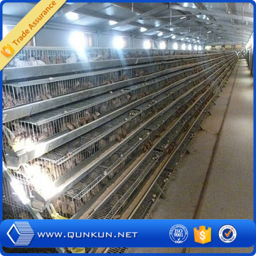Automatic quail cage/quail battery cages/quail farm cage