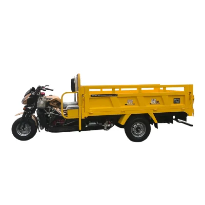 Special vehicle lifting motor tricycle