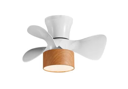 Ceiling Fan with Light