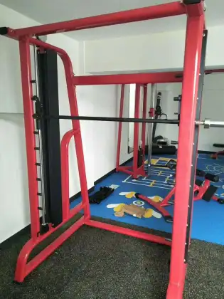 Smith Squatting Longmen Frame Fitness Equipment