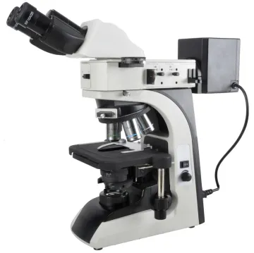 Metallurgical Microscope With Reflected / Transmitted Illumination System