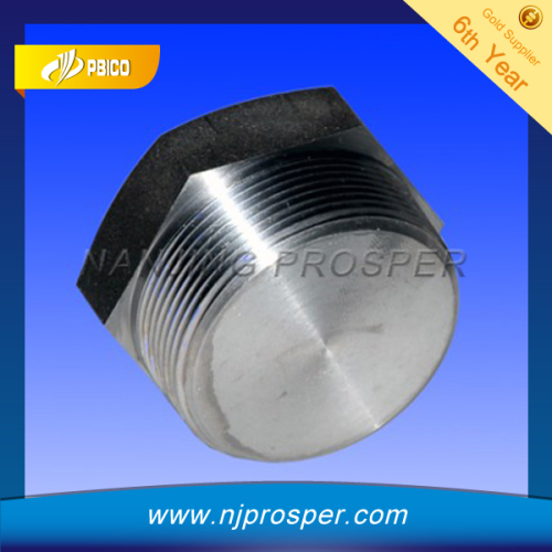 Hex head carbon steel pipe plug (YZF-P87)