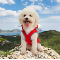 Sweat à capuche de gros veste de chien