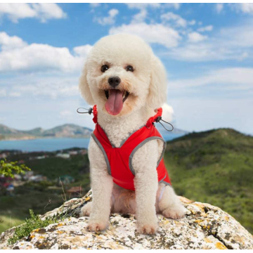 Sweat à capuche de gros veste de chien