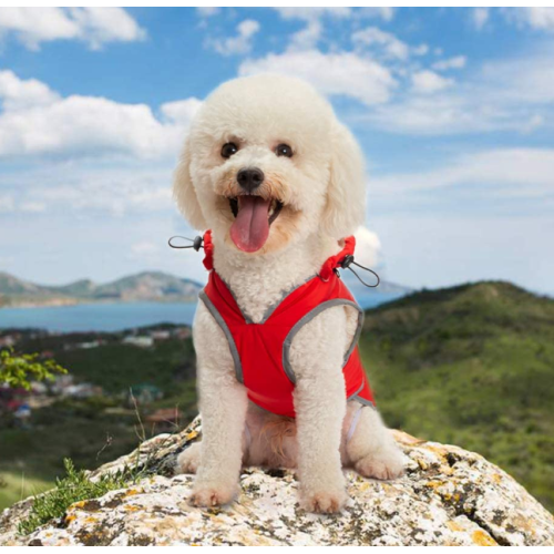 Grande con cappuccio Giacca da cane